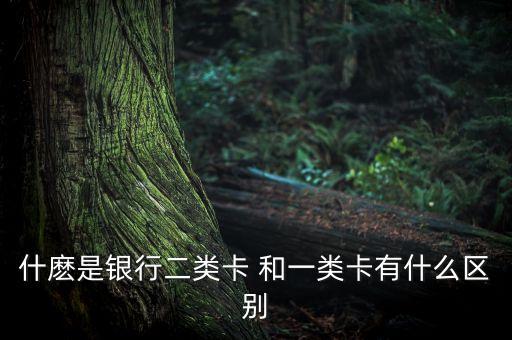 銀行卡2卡是什么意思啊，什麼是銀行二類卡 和一類卡有什么區(qū)別