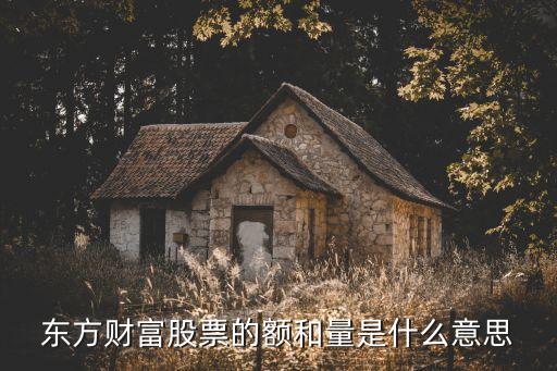 東方財富股票的額和量是什么意思