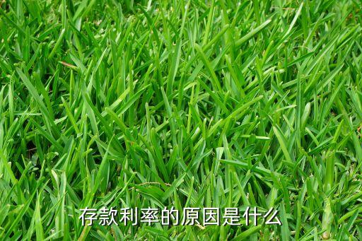 存款利率的原因是什么