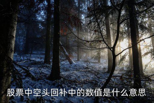 股票中的數值是什么意思，股票中空頭回補中的數值是什么意思