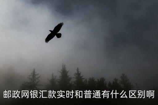 郵政網(wǎng)銀匯款實時和普通有什么區(qū)別啊