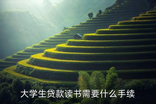 大學生貸款讀書需要什么手續(xù)