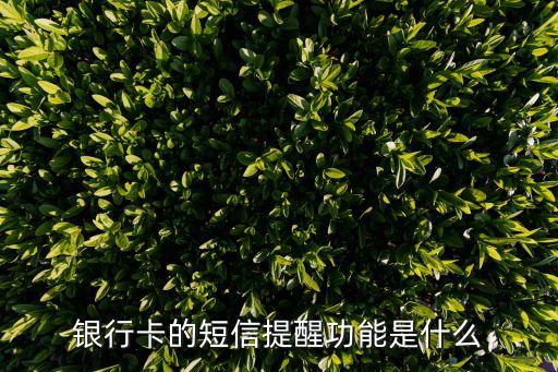 銀行卡的短信提醒功能是什么