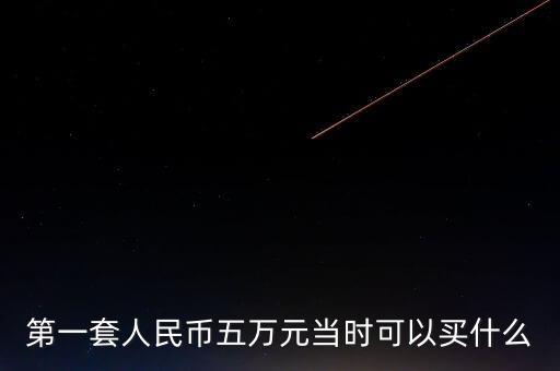 第一套人民幣五萬元當時可以買什么