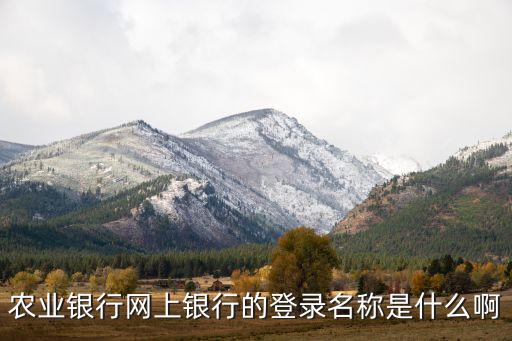 農(nóng)行企業(yè)網(wǎng)銀登陸名稱是什么情況，安徽農(nóng)金網(wǎng)上銀行登錄名稱是什么