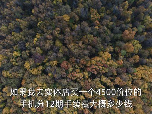 如果我去實(shí)體店買(mǎi)一個(gè)4500價(jià)位的手機(jī)分12期手續(xù)費(fèi)大概多少錢(qián)
