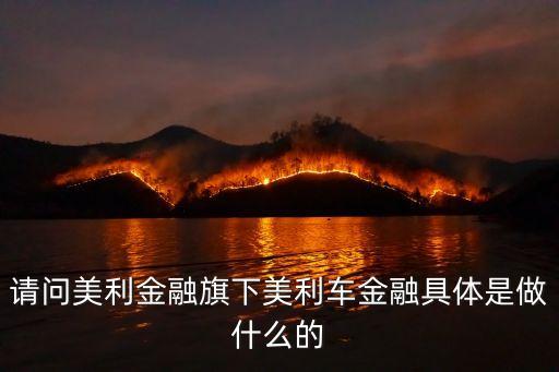 請(qǐng)問(wèn)美利金融旗下美利車(chē)金融具體是做什么的