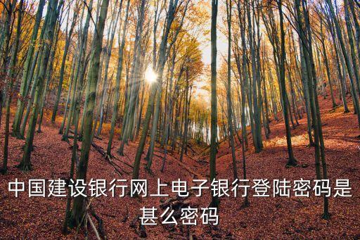 中國(guó)建設(shè)銀行網(wǎng)上電子銀行登陸密碼是甚么密碼