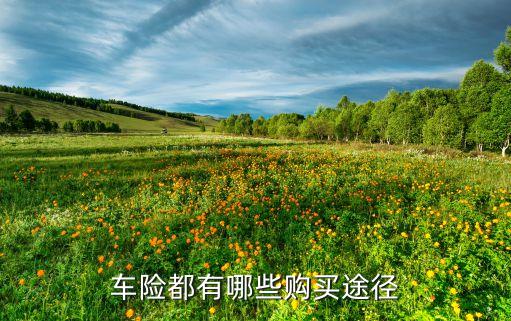 什么方式購買車險(xiǎn)，車險(xiǎn)如何買有哪些購買途徑