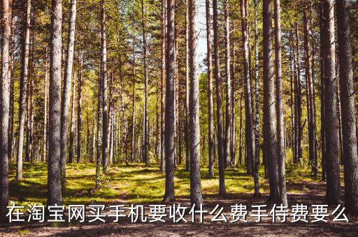 買手機(jī)都需要什么手續(xù)費(fèi)嗎，在淘寶網(wǎng)買手機(jī)要收什么費(fèi)手侍費(fèi)要么