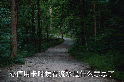 辦信用卡時(shí)候看流水是什么意思了
