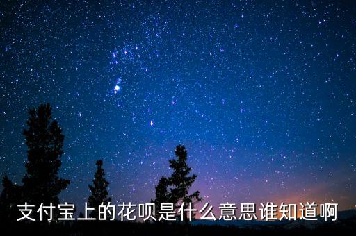 支付寶上的花唄是什么意思誰(shuí)知道啊