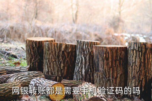 網(wǎng)銀轉(zhuǎn)賬都是需要手機(jī)驗(yàn)證碼的嗎