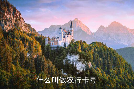 什么叫做農(nóng)行卡號(hào)