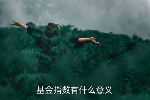 基金指數(shù)有什么意義