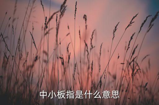 中小板指是什么意思