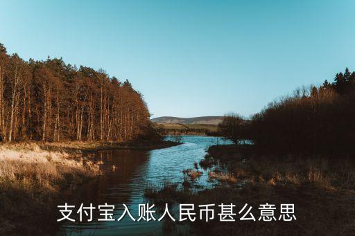 支付寶入賬人民幣甚么意思