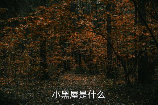 招商小黑屋是什么，小黑屋是什么