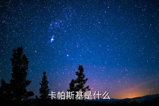卡什么基，卡耐基全名叫什么