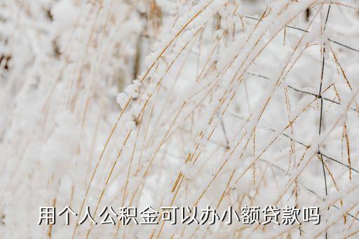 有公積金能做什么小貸，公積金可以做哪些銀行貸款