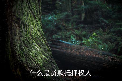 什么是貸款抵押權(quán)人