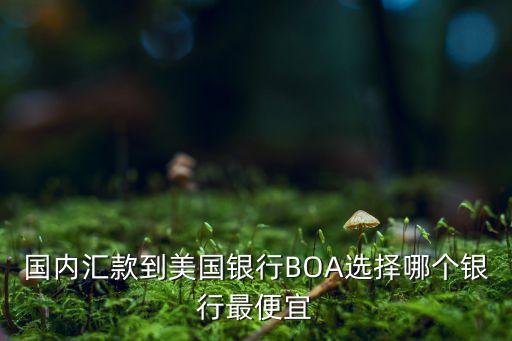電匯到美國用什么銀行，往美國電匯款哪個銀行手續(xù)費最低