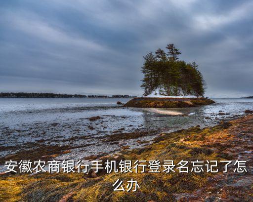安徽農(nóng)信登錄名是什么，安徽農(nóng)金網(wǎng)上銀行登錄名稱是什么