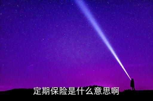 定期保險是什么意思啊