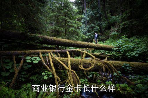 商業(yè)銀行金卡長什么樣