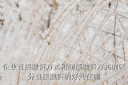 企業(yè)直接融資方式和間接融資方式的區(qū)分直接融資的好處在哪