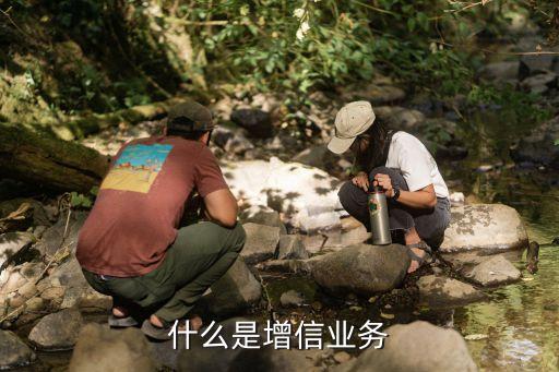 增信能力是什么意思，什么是增信業(yè)務(wù)