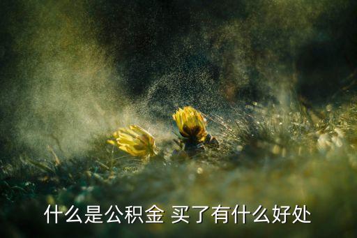 浦發(fā)公積金貸款叫什么好處，什么是公積金 買了有什么好處