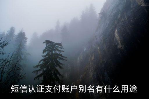 短信認(rèn)證支付什么意思，短信認(rèn)證支付賬戶別名有什么用途