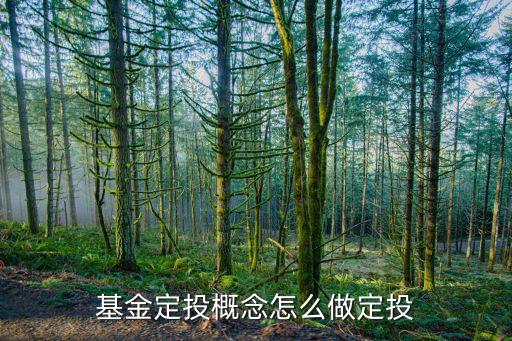 基金定投概念怎么做定投