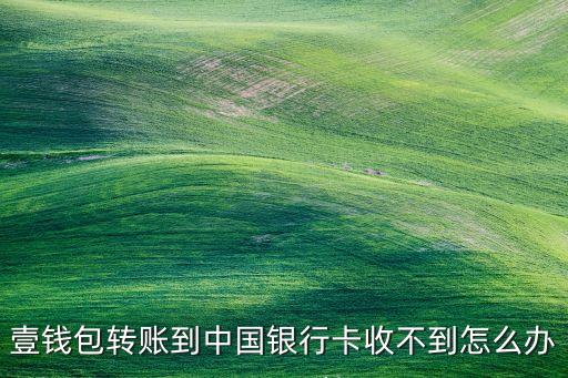 壹錢包轉(zhuǎn)賬到中國(guó)銀行卡收不到怎么辦