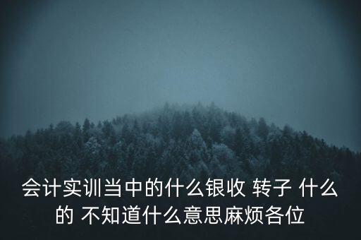 會計實訓(xùn)當中的什么銀收 轉(zhuǎn)子 什么的 不知道什么意思麻煩各位