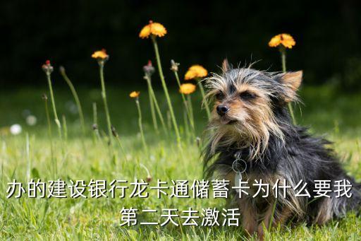 辦的建設(shè)銀行龍卡通儲(chǔ)蓄卡為什么要我第二天去激活