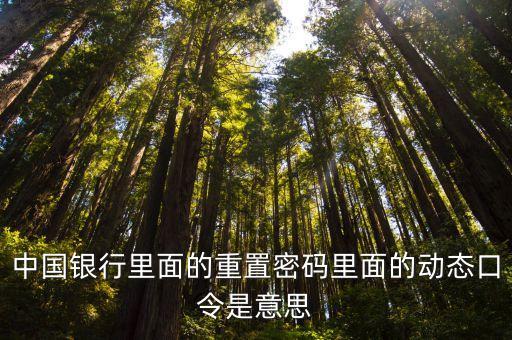 中國銀行手機(jī)重置密碼是什么，中國銀行手機(jī)銀行登錄密碼是什么密碼