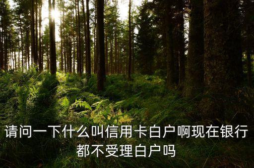 什么是銀行白卡用戶，信用卡白戶是什么意思