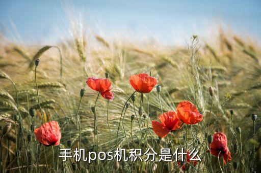 手機pos機積分是什么