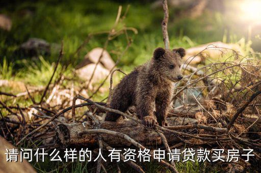 請(qǐng)問什么樣的人有資格申請(qǐng)貸款買房子