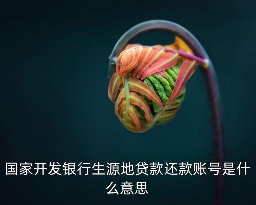 國家開發(fā)銀行生源地貸款還款賬號(hào)是什么意思