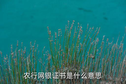 網(wǎng)銀證書(shū)DN是什么意思，農(nóng)行網(wǎng)銀證書(shū)是什么意思