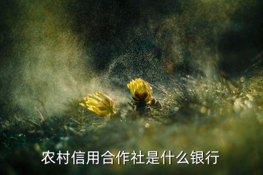 農(nóng)村信用社支行是什么銀行，中國農(nóng)村信用社是什么銀行