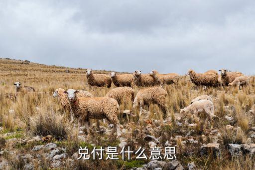 兌付是什么意思