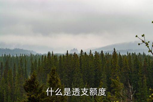 興業(yè)信用卡透支額度是什么意思，透支額是什么意思