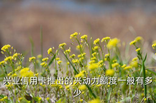 興業(yè)信用卡推出的興動(dòng)力額度一般有多少