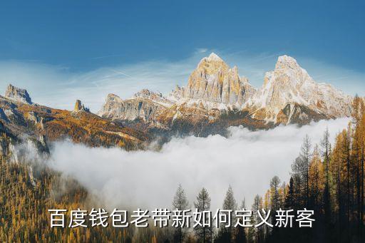 百度錢包老帶新如何定義新客