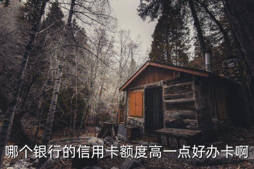 哪個銀行的信用卡額度高一點好辦卡啊