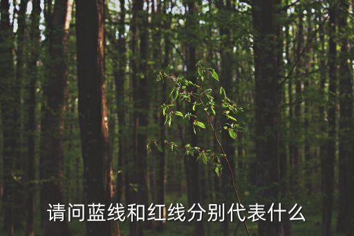 什么是融資紅線，股票T線什么意思